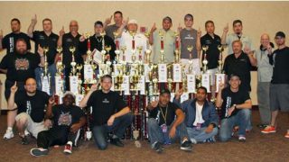 Team Hybrids