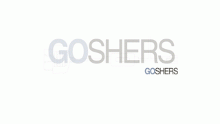 Goshers blind spot detector