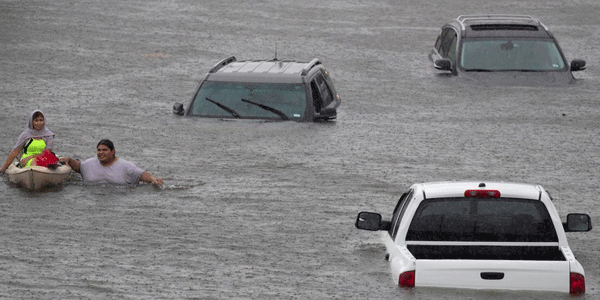 Harvey-cars