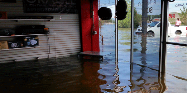 Apex Car audio-flooded