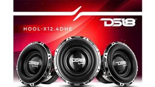 DS18 Hooligan High Excursion Subwoofer