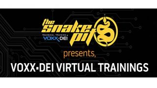 VOXX DEI Training 2022