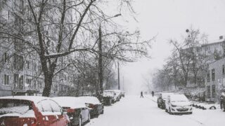 Weather forecast for winter 2025-2026